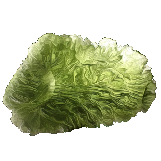 Moldavid